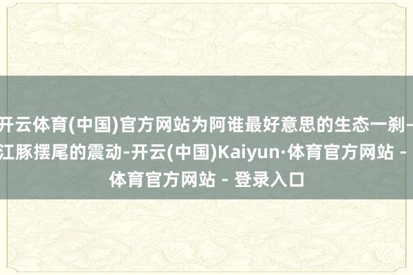 开云体育(中国)官方网站为阿谁最好意思的生态一刹——或者是江豚摆尾的震动-开云(中国)Kaiyun·体育官方网站 - 登录入口